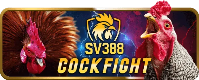 Quyền của người dùng tại 98win01 Nổ Hũ